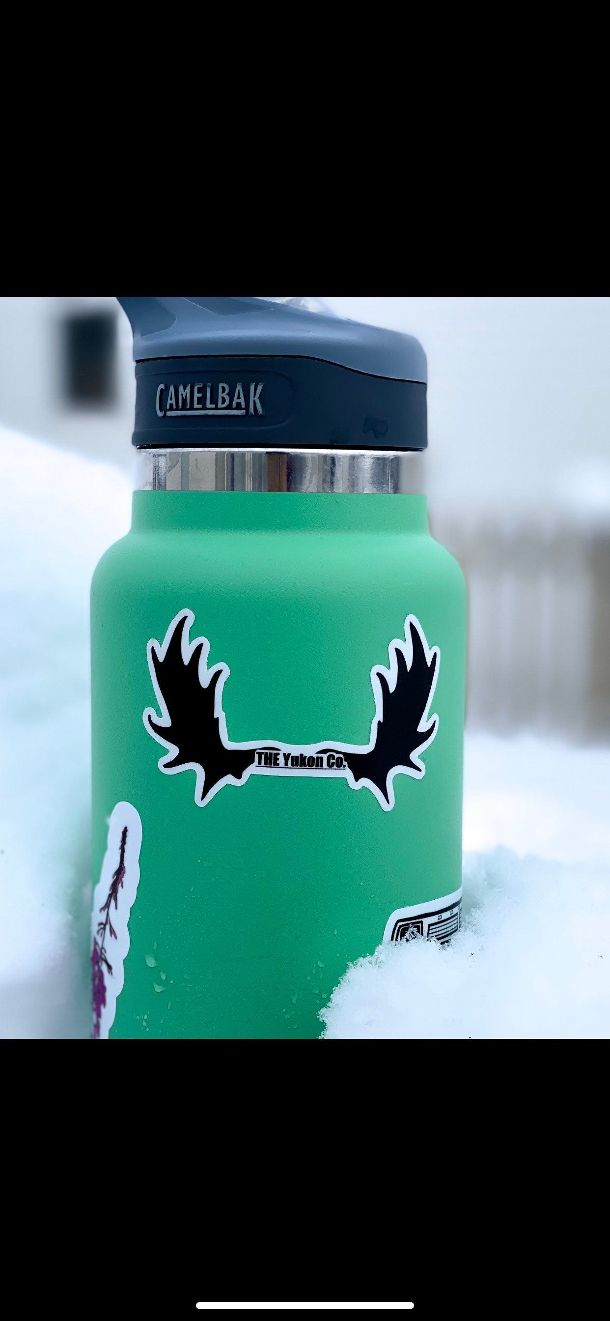 Moose sticker | Vinyl sticker  | The Yukon Co sticker