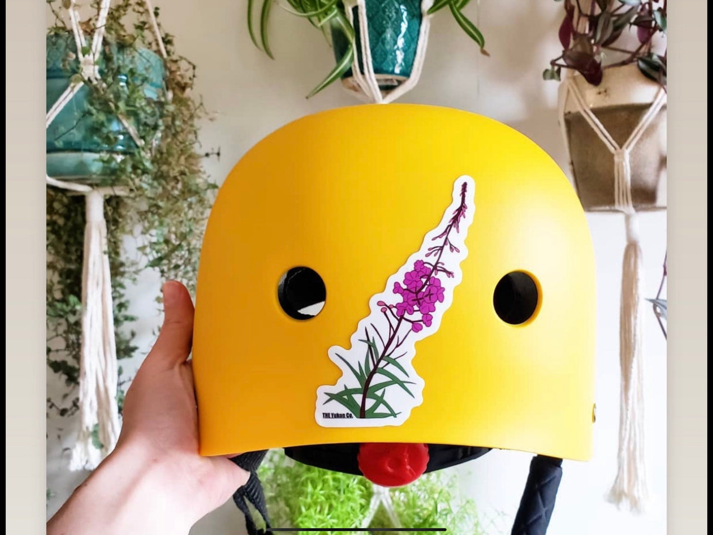 Fireweed Sticker | flower sticker | Vinyl sticker | The Yukon Co sticker